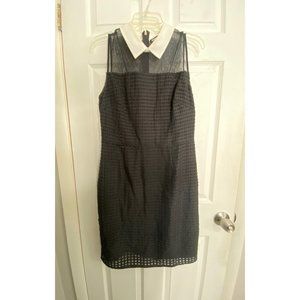 Karl Lagerfeld Classic Black w/ White Collar Dress